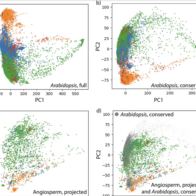 Expression-based machine learning models for predicting plant tissue identity